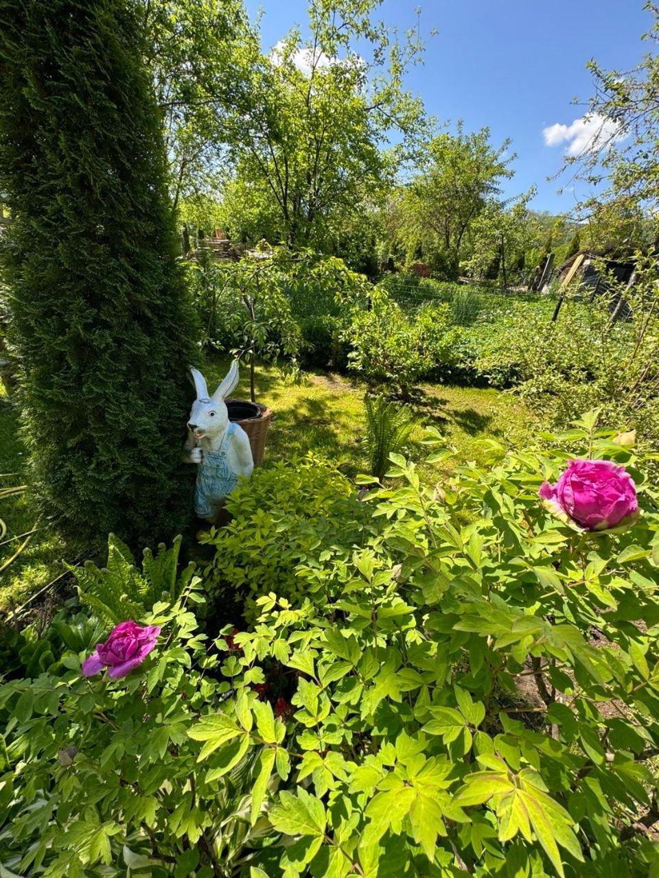 Girske Povitria 2 Villa Yaremche Bagian luar foto